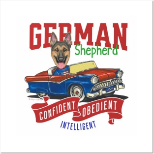 Humor funny and cute German Shepherd dog driving a classic vintage car with red white and blue flags with dog's personality Posters and Art